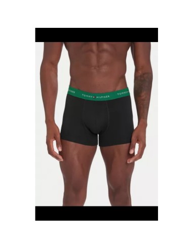 TOMMY HILFIGER UM0UM02763_MULTI