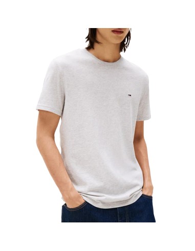 TOMMY HILFIGER DM0DM20363_GR